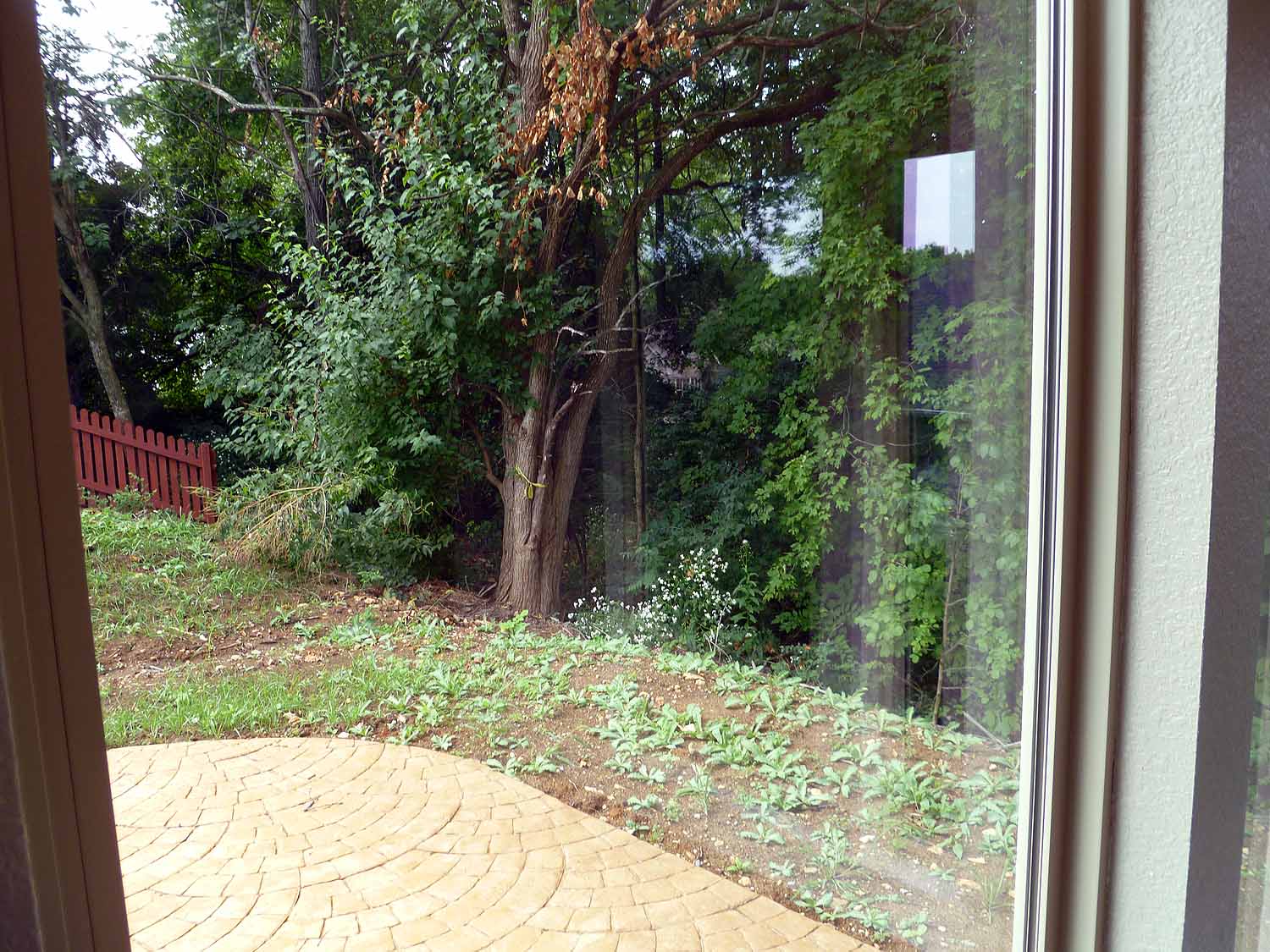 3804trefoil Custom Homes by Tompkins Homes and Development