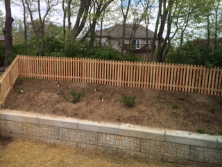 rear yard
