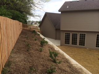 Garden/shrub area above retaining wall in rear yard