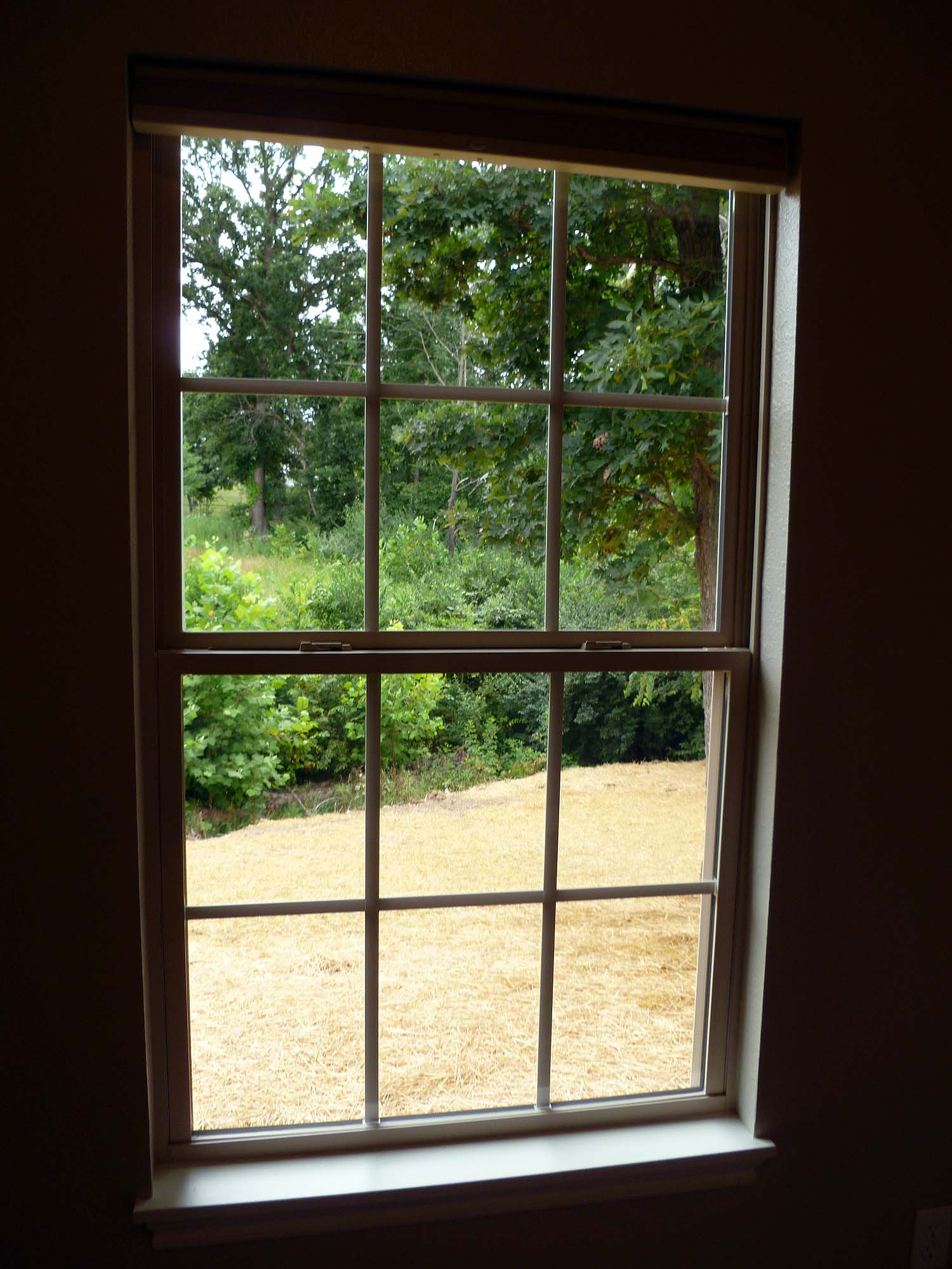 Looking out window bedroom 3