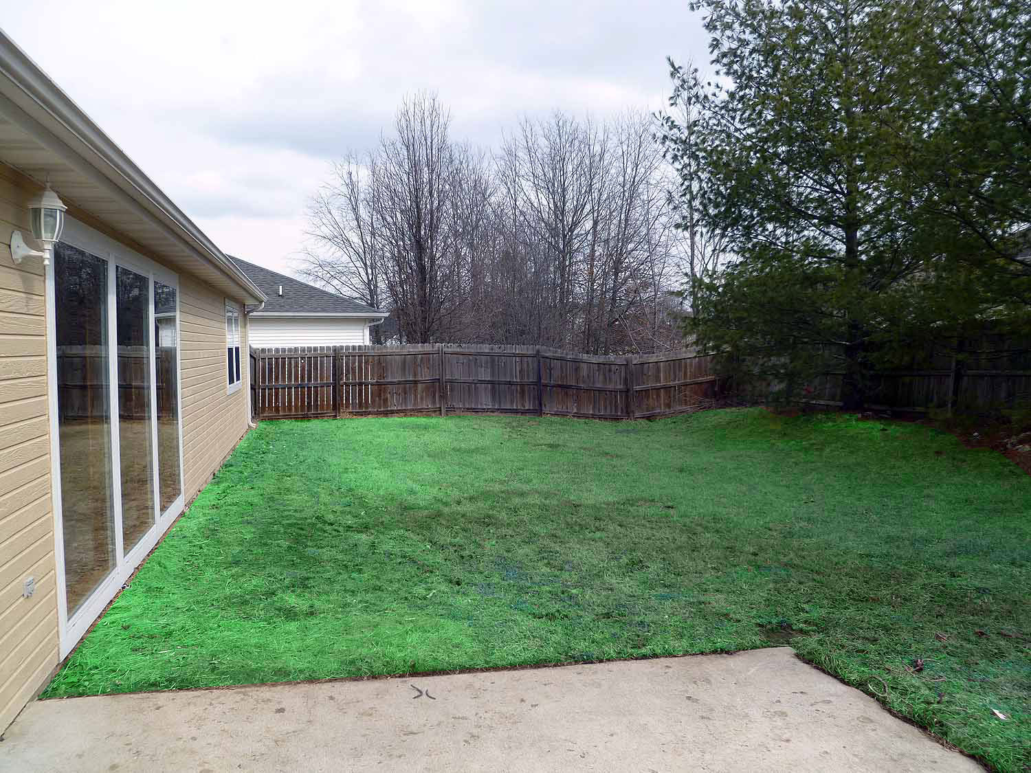 rear yard