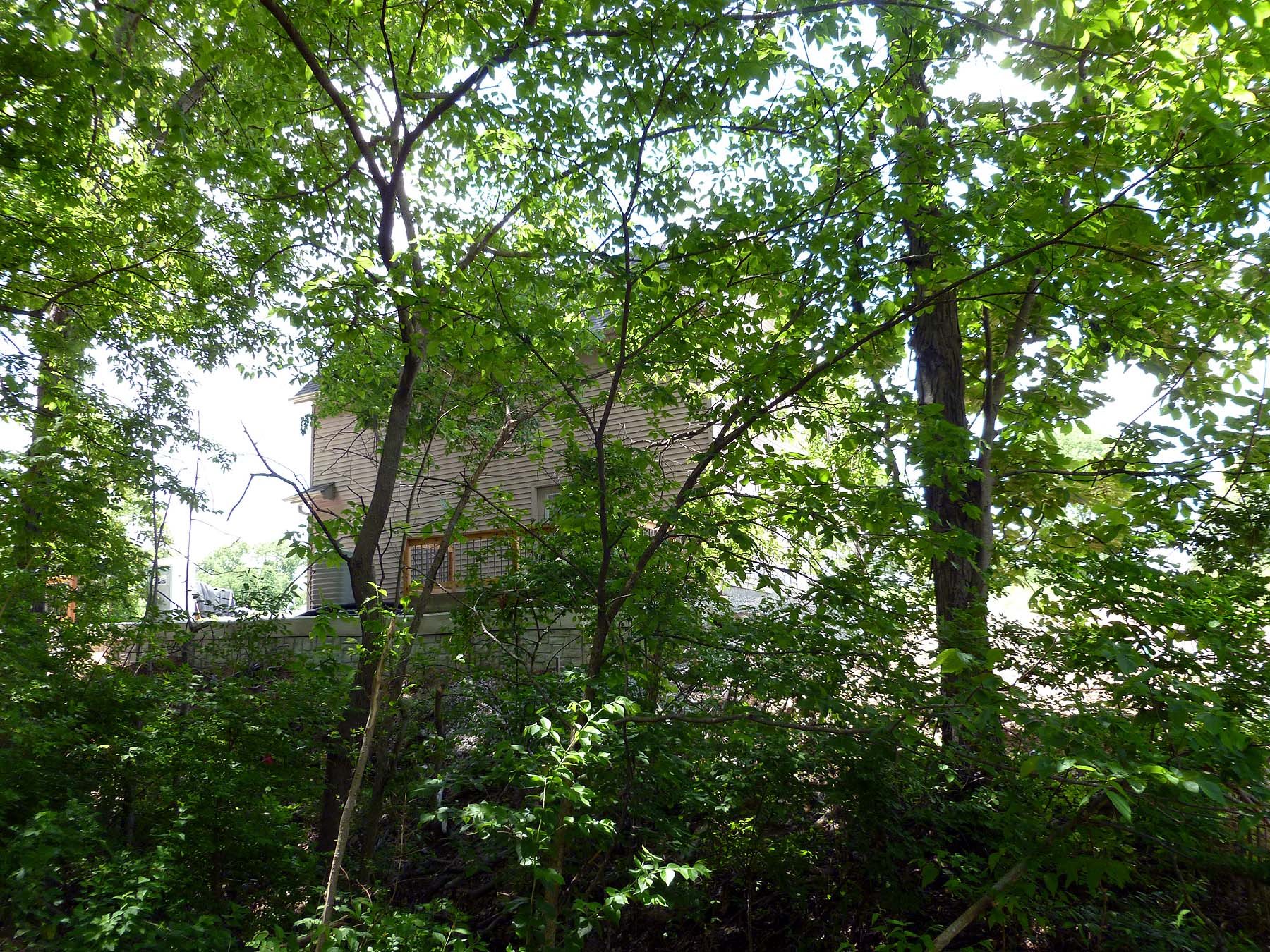 rear of house from nature area