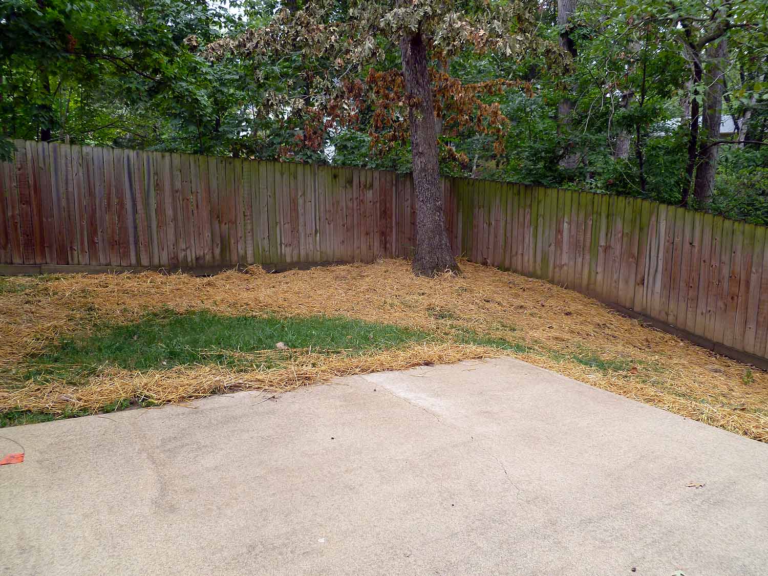 Rear yard