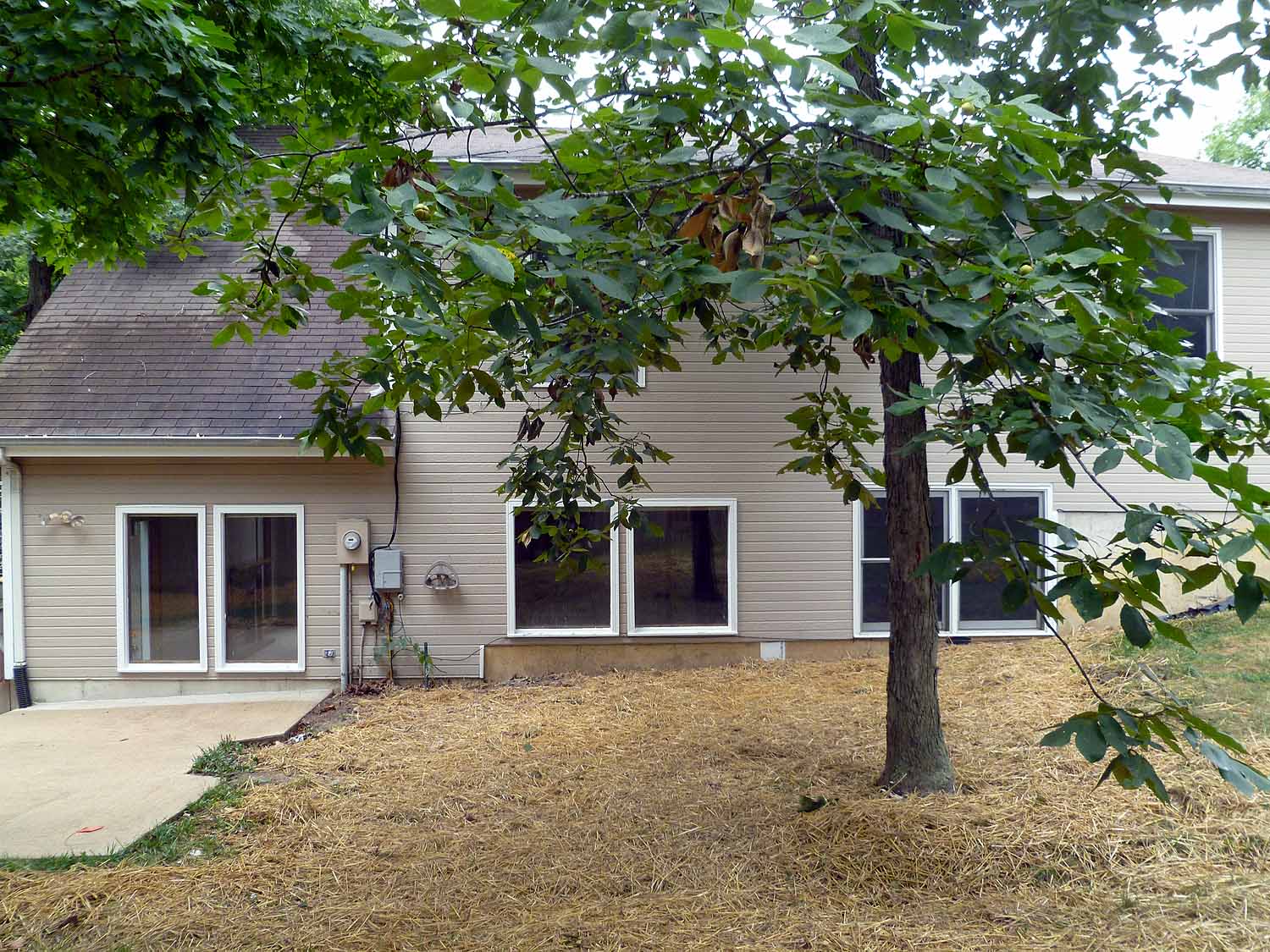 Rear of house