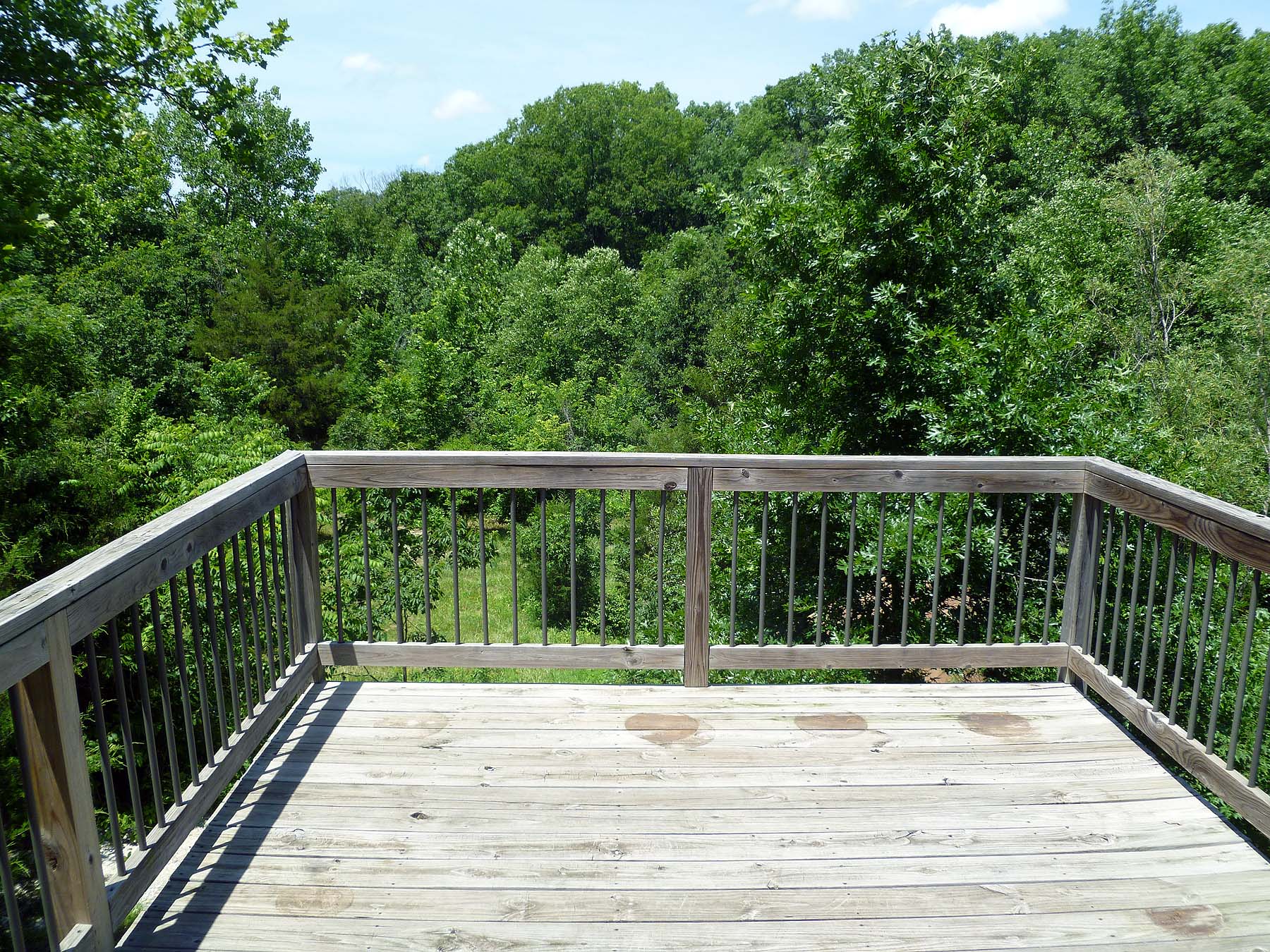 Rear wood deck in summer