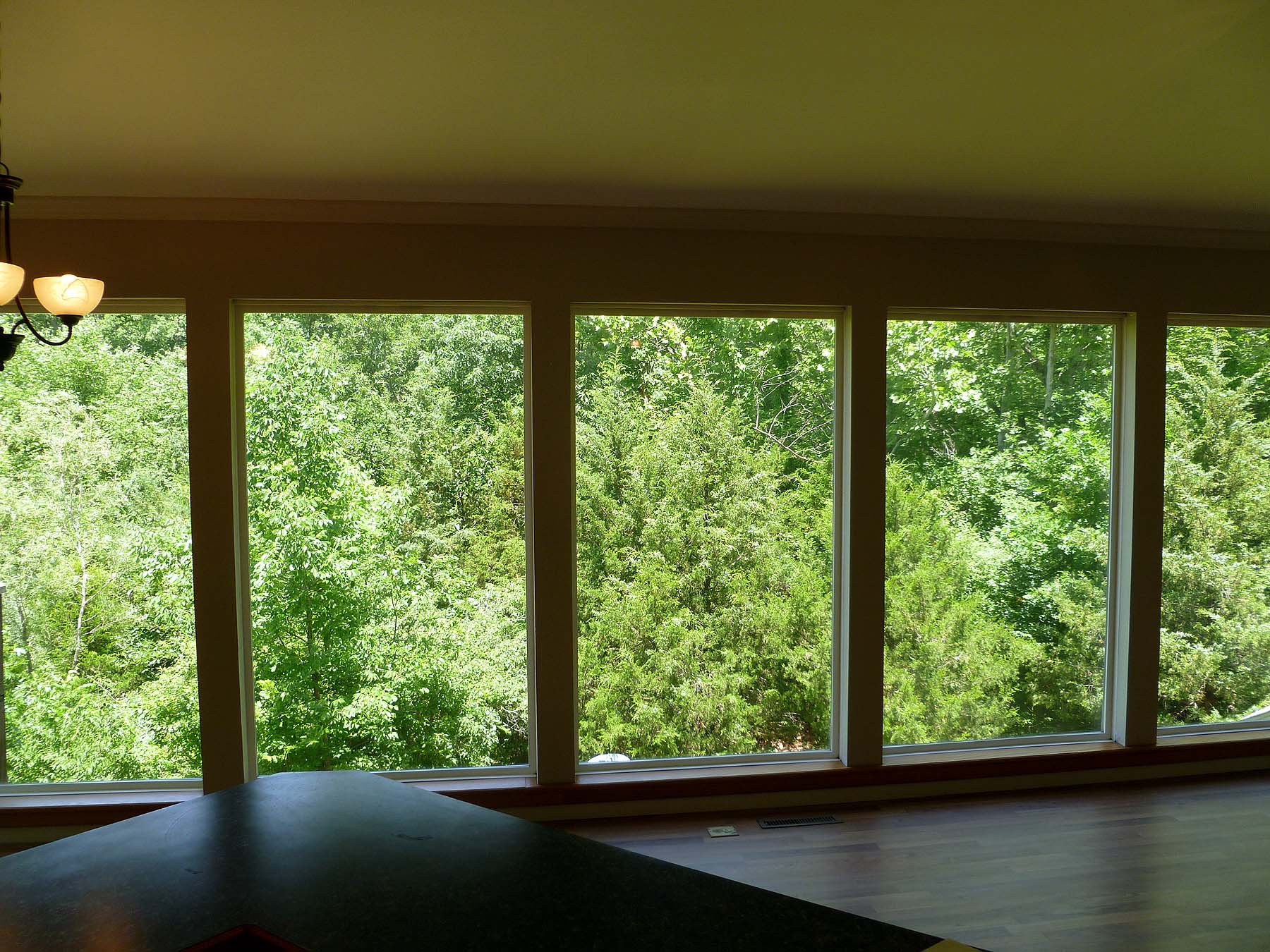 summer scene out rear windows