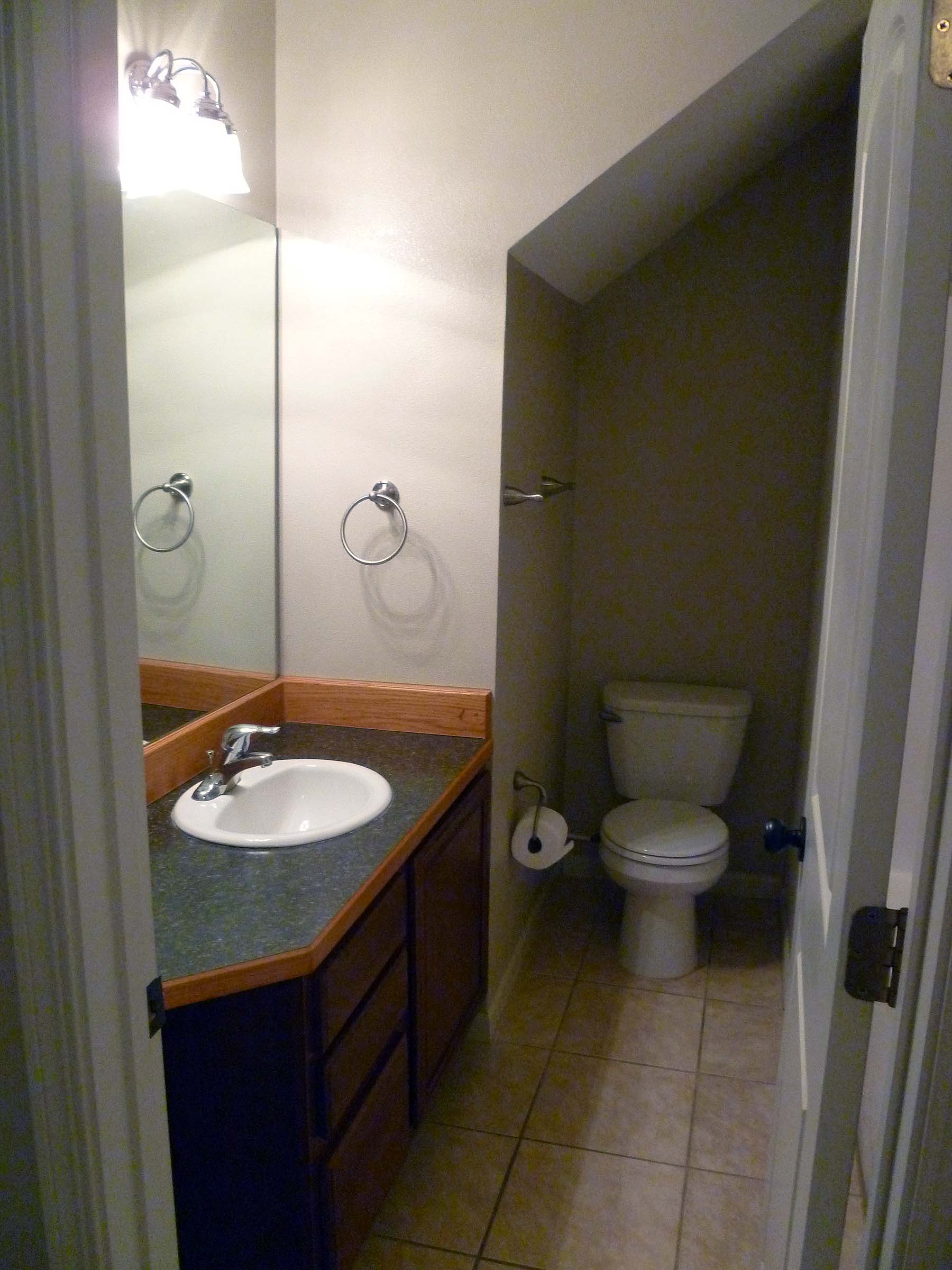 Garden level bathroom