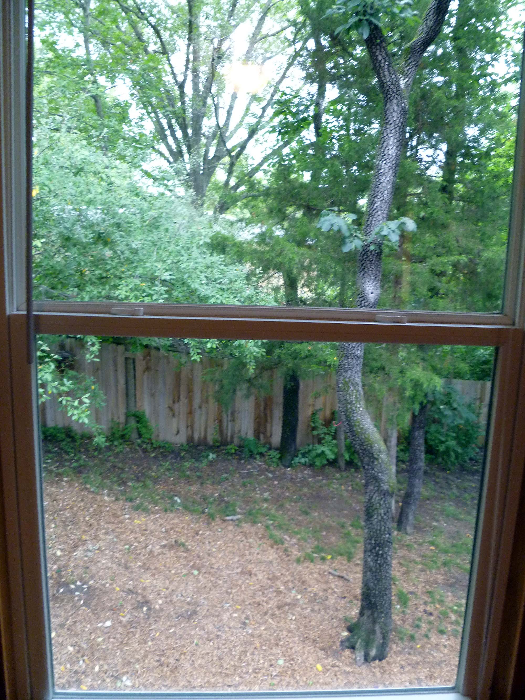 View from bedroom 2 window