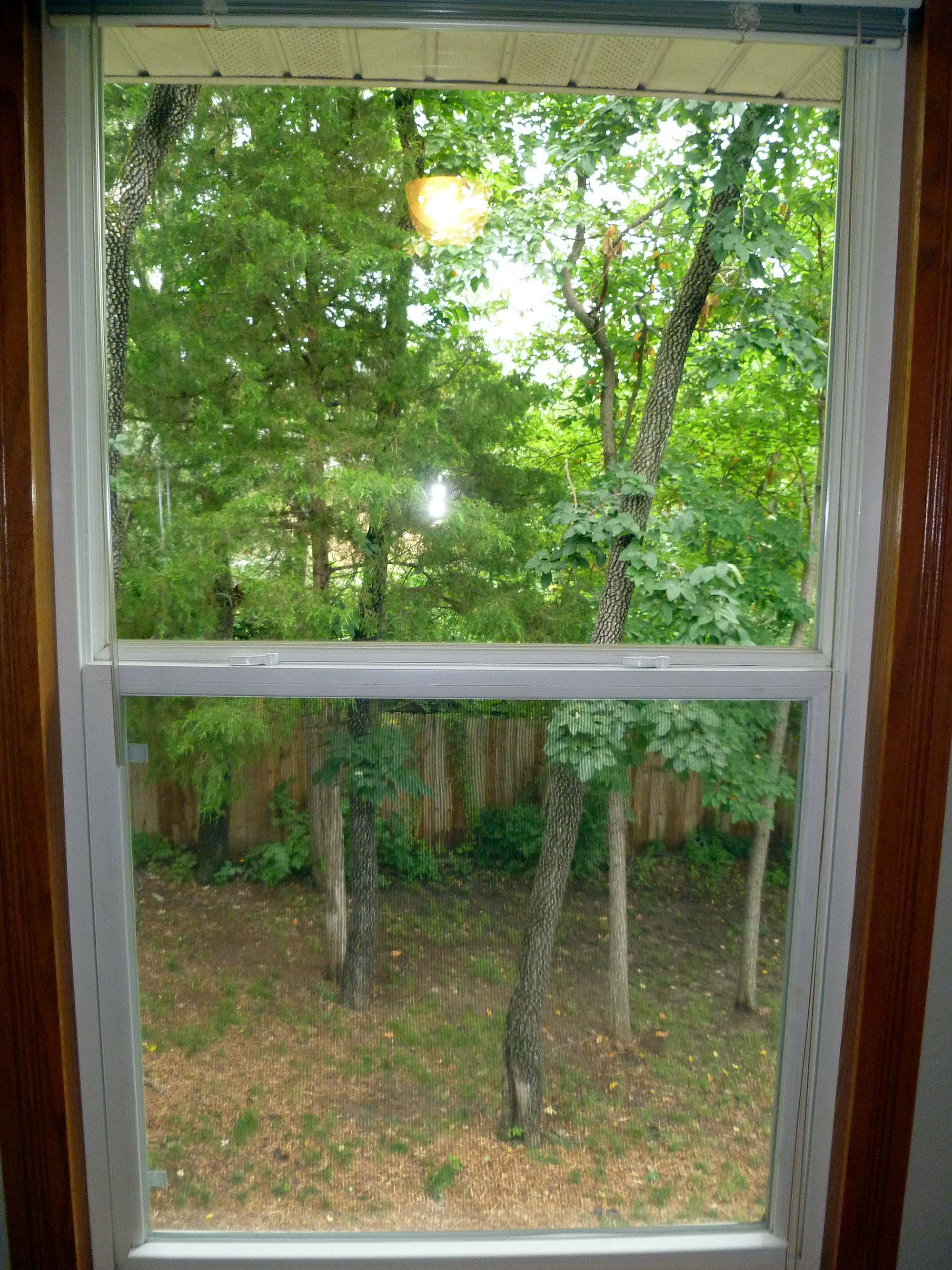 View from bedroom 3 window