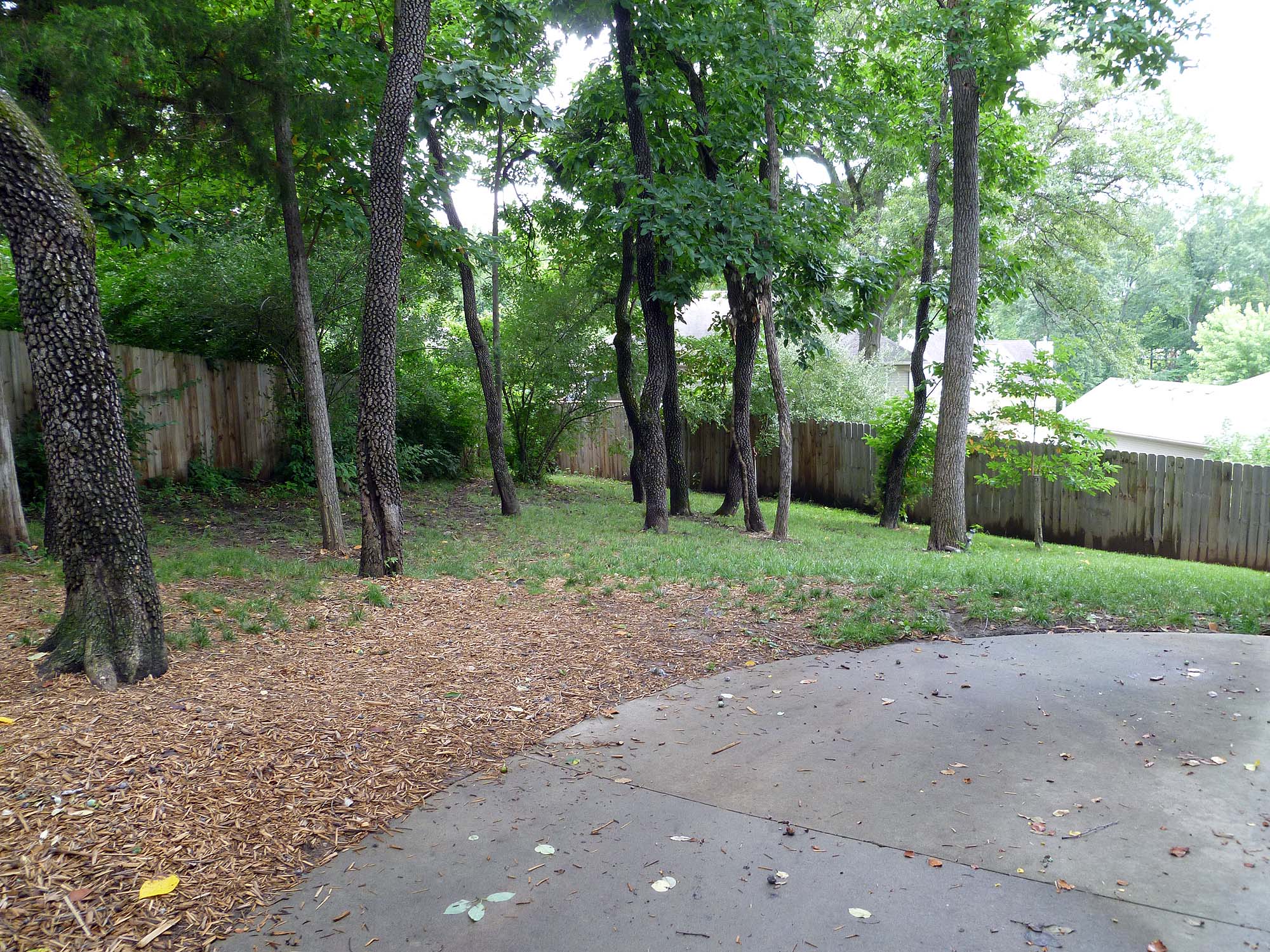 Rear yard