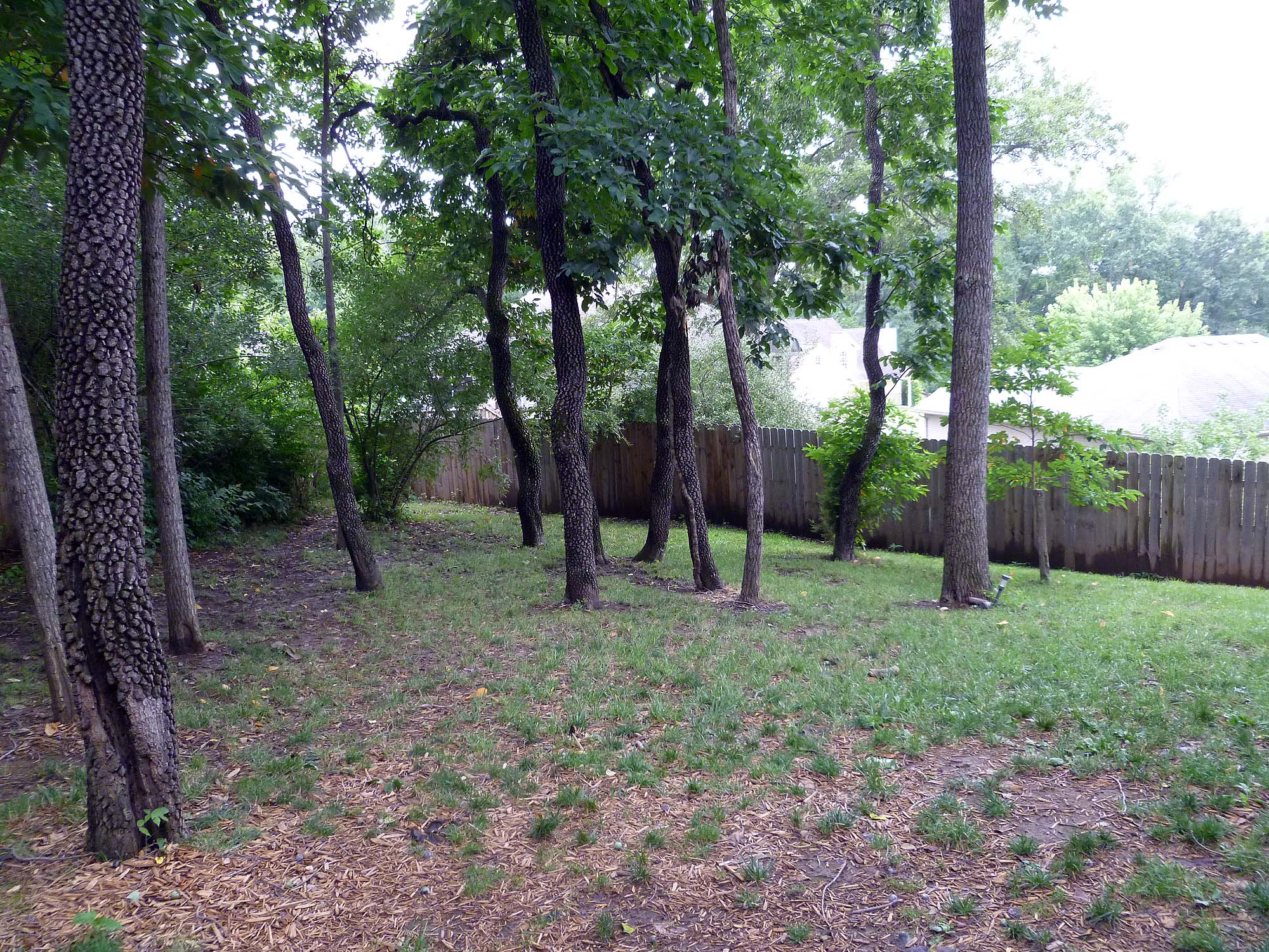 Rear yard