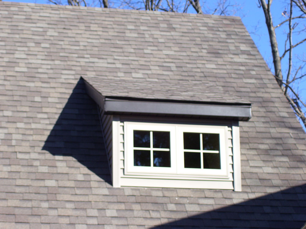 <p>Shed roof style dormer</p>