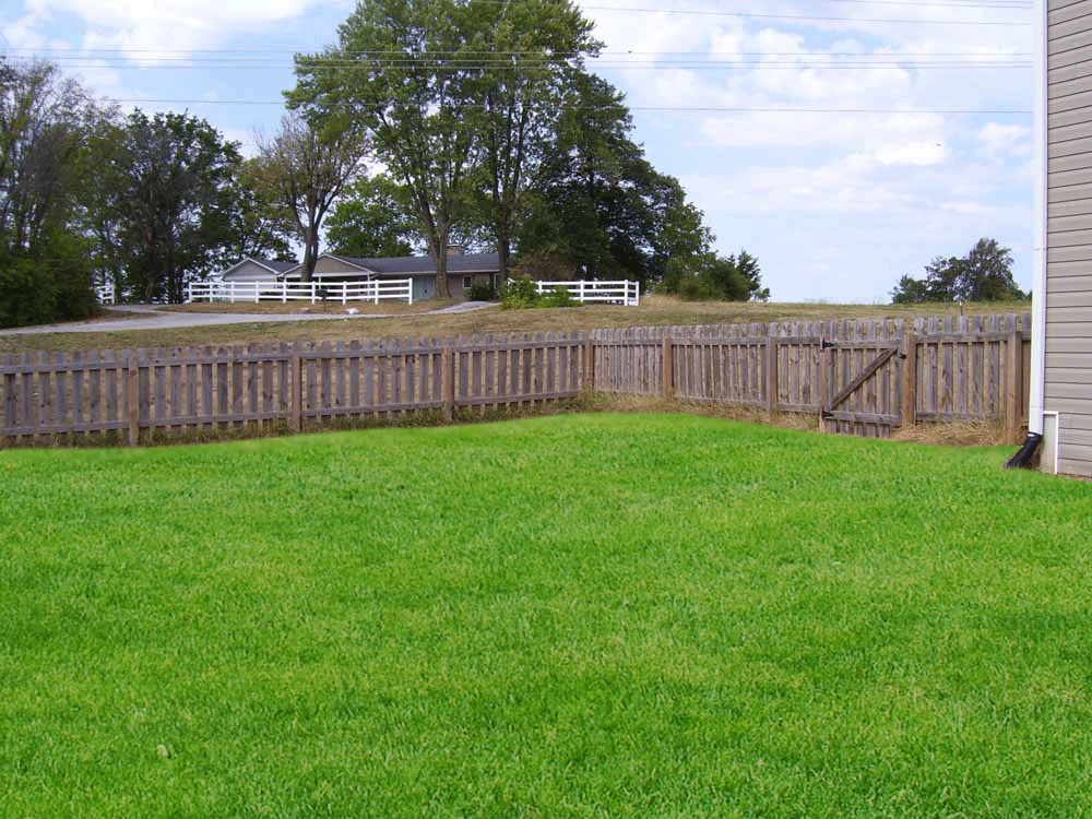 Rear fenced yard